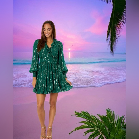 Lilly Pulitzer NWT Birdy Silk Wrap Dress Evergreen Fish Clip $328 Size 10,12 - Picture 5 of 10